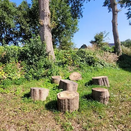 Zwartbles Chalet Elspeet